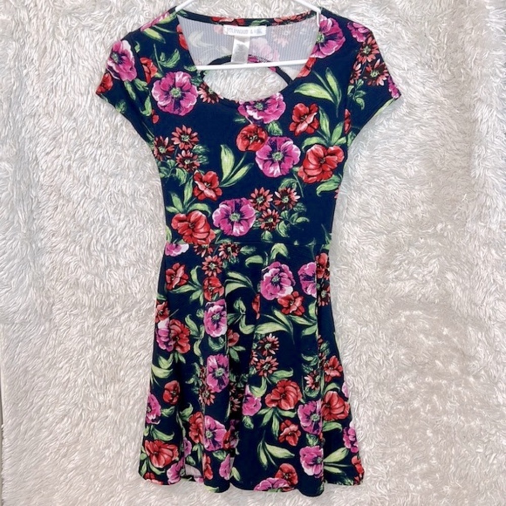 HOLLYWOOD & VINE Floral Skater Dress
